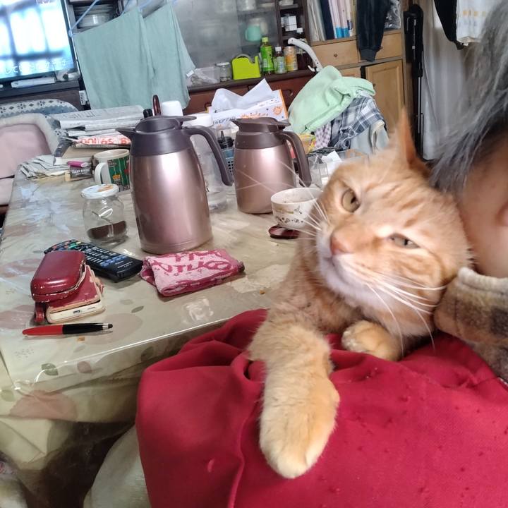 Ce04b4a7 5388 44b8 a574 a8035f3c57e1 1741328785089