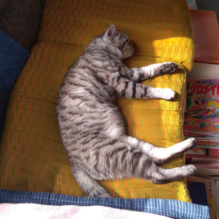 Ce04bee9 867b 45e7 bc99 601195cf96fa 1682378609210