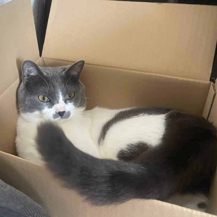 Ce0519c0 aaf6 42d3 9d7d 9ac69ea3a467 1651283124349