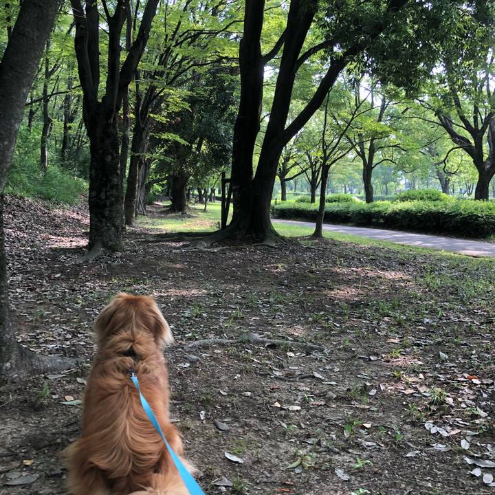 Ce052b7f 98d6 42a5 be3b 19de993c40e4 1561250110127