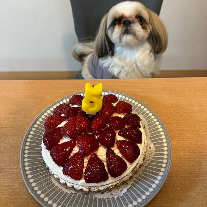 Ce0545e1 958a 485f 8914 fe41fe457fed 1681818852142