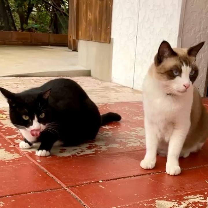 Ce05a295 e440 4d2a 9e8d b79d277883c0 1729581819940