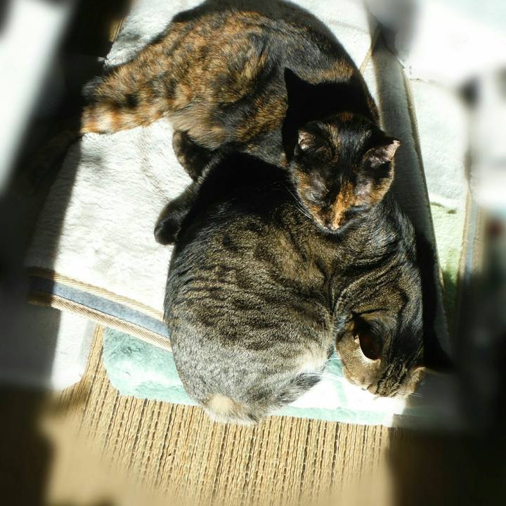 Ce05ca9b 6e34 414e 893f a3efb43a654d 1513908138448