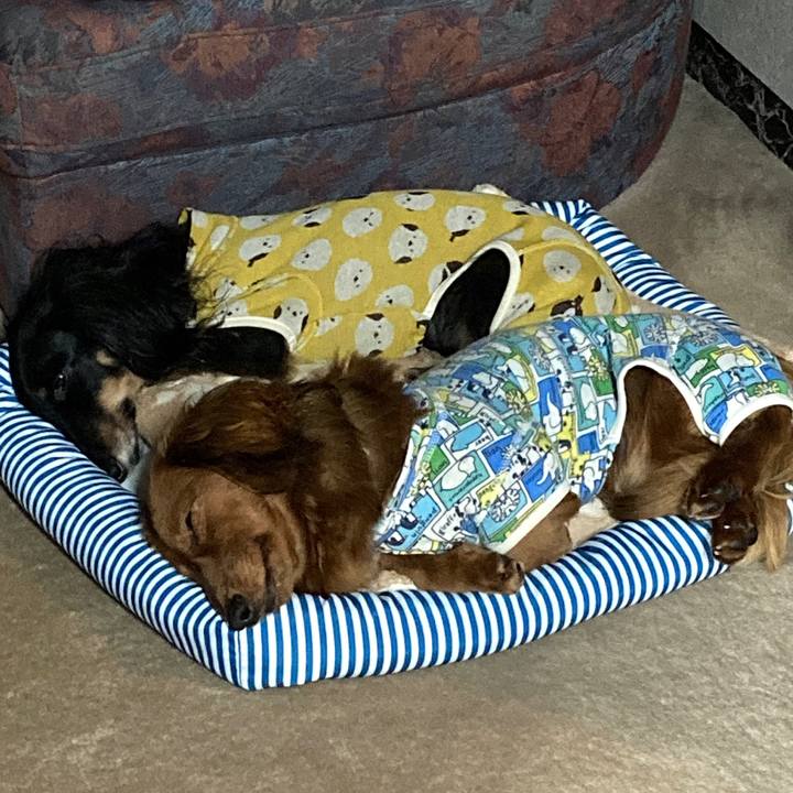 Ce05fb3d 22ce 47ca 9a7b 0679b8ac95a2 1717074252006