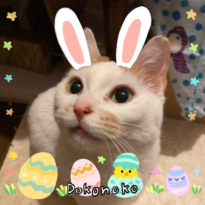 Ce0636d4 cb95 4f04 9cac 4b3a5fdceb94 1712492462280