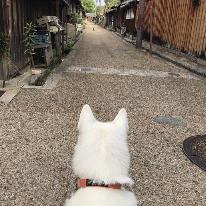 Ce063c6f abc6 4f49 9393 22091e41e18f 1526802709777