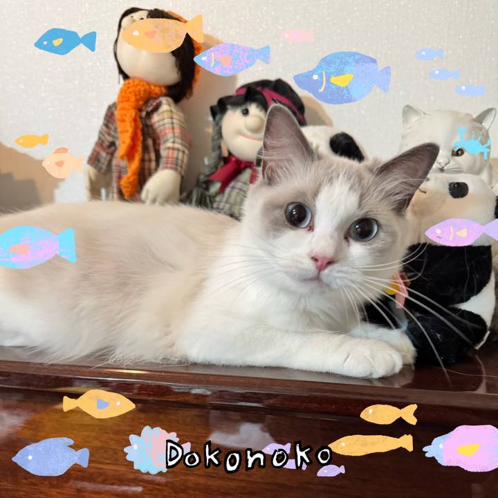 Ce066411 c1c6 45f4 bb2d ddd9576dcfa0 1755513271708