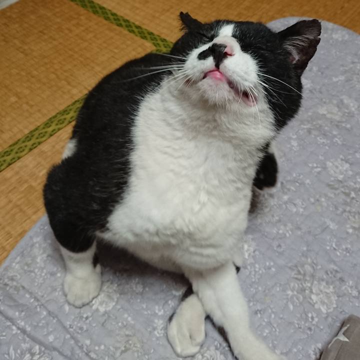 Ce0668f7 5755 4b93 9f46 4cb7b5d8e68a 1621247130477