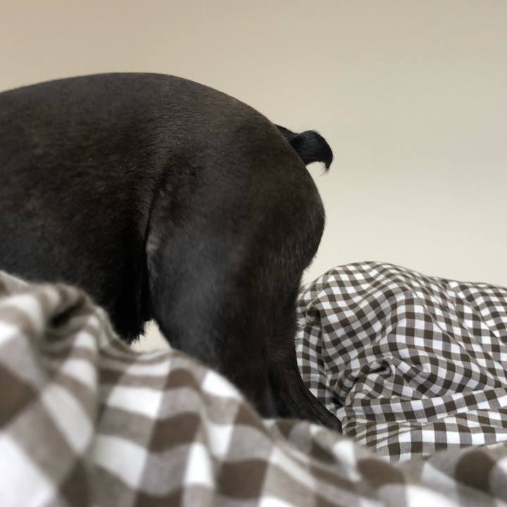 Ce068b5e 5bcc 4046 a245 3df7d046e142 1561602685803