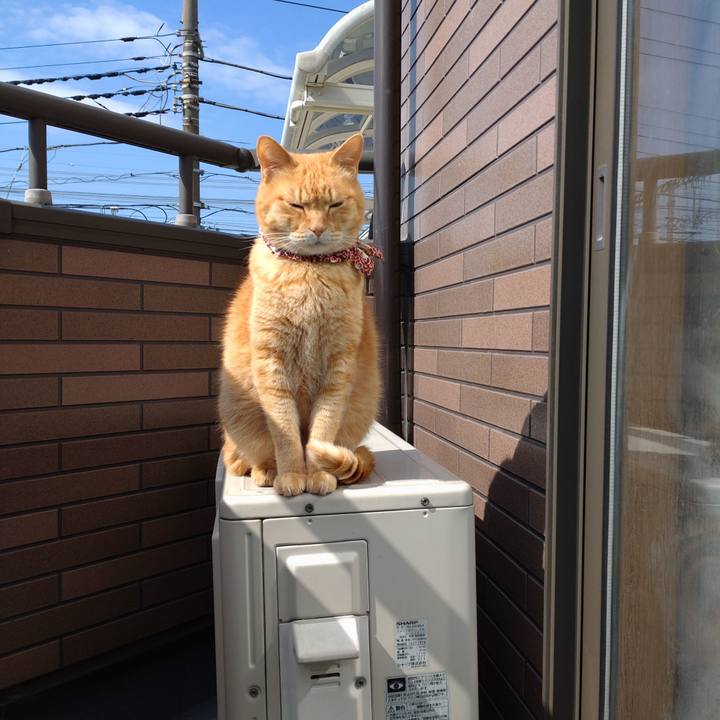 Ce06d2b5 92a7 42a9 befd ef9e4639756d 1646457797612