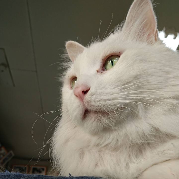 Ce06d6ac ecf1 471b 92cc 85db3e8c7e1a 1528151155937