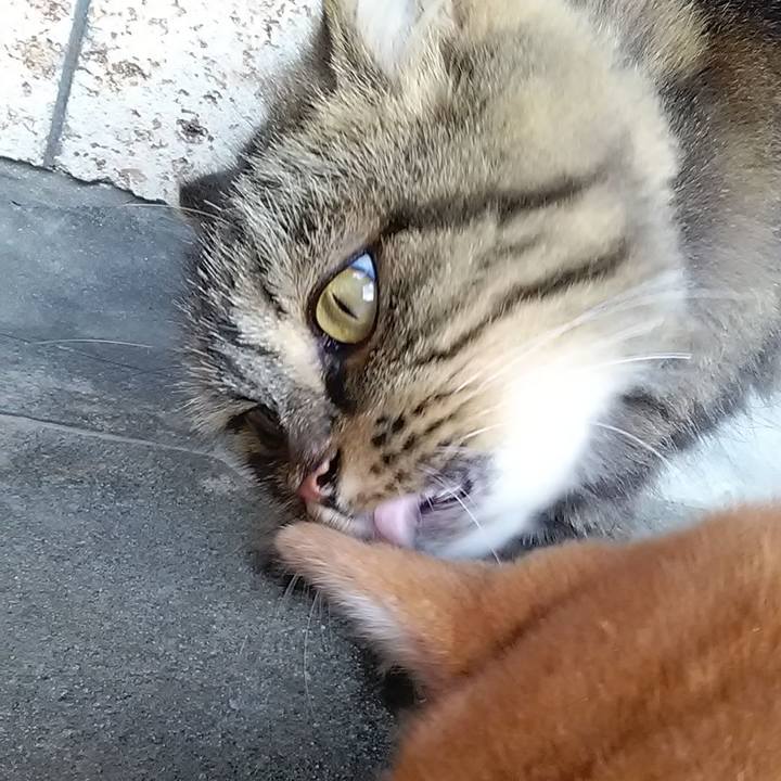 Ce06dd44 e30a 42b5 a4e7 6a77edefc143 1630969447639