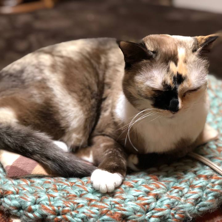 Ce070005 e024 4e24 b4d1 31504634d2a9 1675350111912