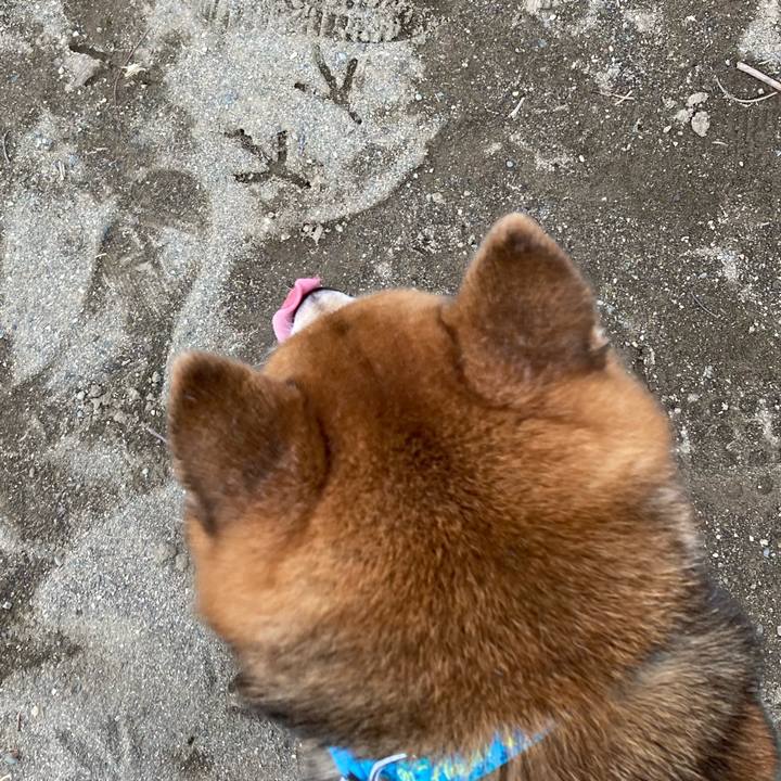 Ce073642 bbbc 4c72 9fcf 19abc460d2cf 1674886103839