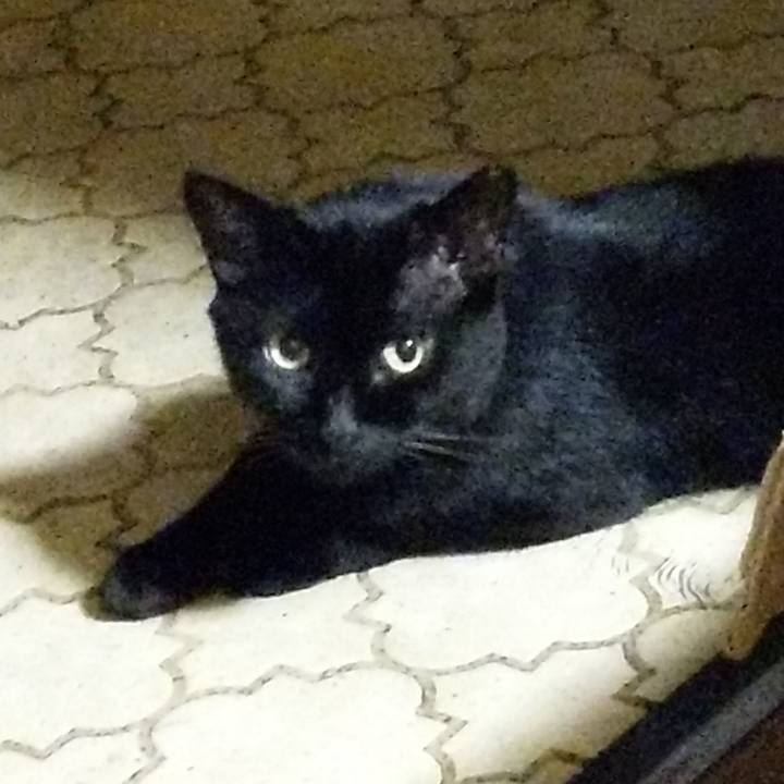 Ce074a91 f5a3 4e10 8041 28c6faf84e2c 1607600729708