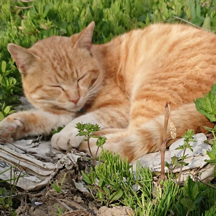 Ce074daa 8460 4d86 966f 4140bd9fe50d 1556522940648