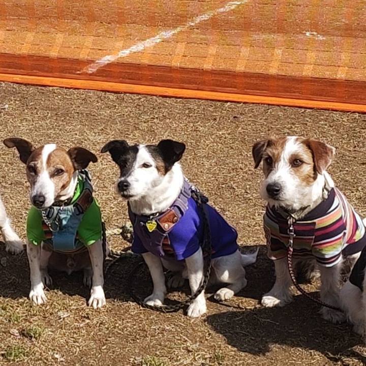 Ce079220 3c2e 47a4 ad0c f20d14b48481 1771762795560