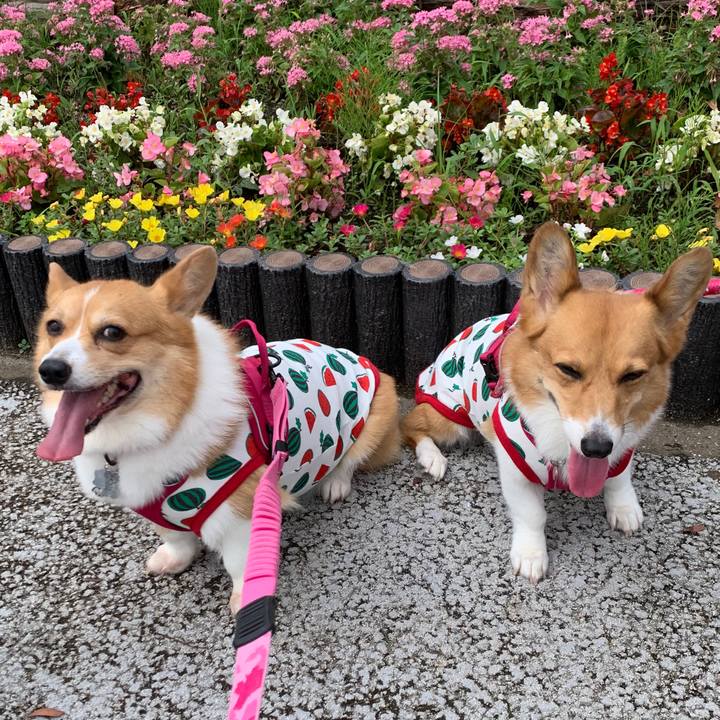 Ce07c428 5208 420a bbf1 9deff1959be4 1595551485635