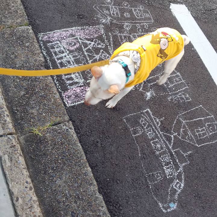 Ce07d6c8 e08c 4462 ae5c 1950e53f23ad 1540166917835