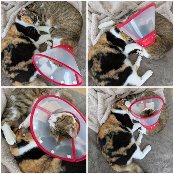 Ce080128 5a94 421d bdc6 369d2218c55a 1750662098154