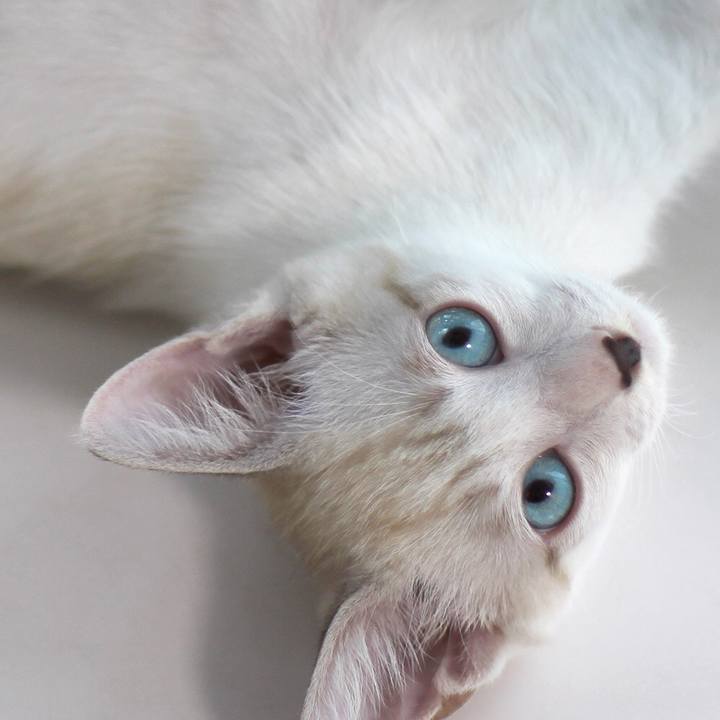 Ce0815a7 f556 460a 95ae ab33837b3283 1600690006012