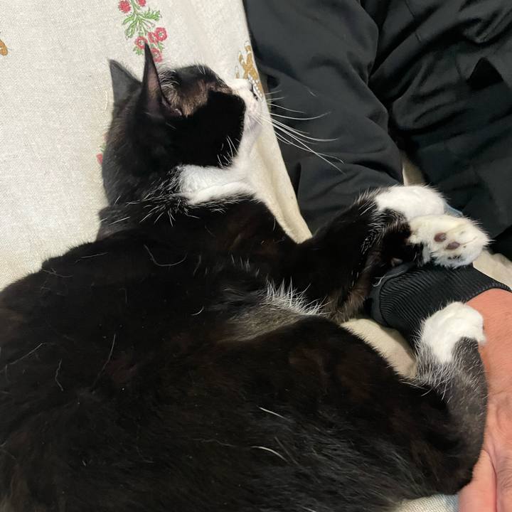 Ce081eb4 de75 426f 930b b5c9a06ab3f4 1761908133999