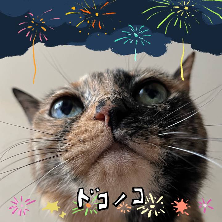 Ce0842c8 dfae 40b3 8ce2 c512f159ca90 1723639345337