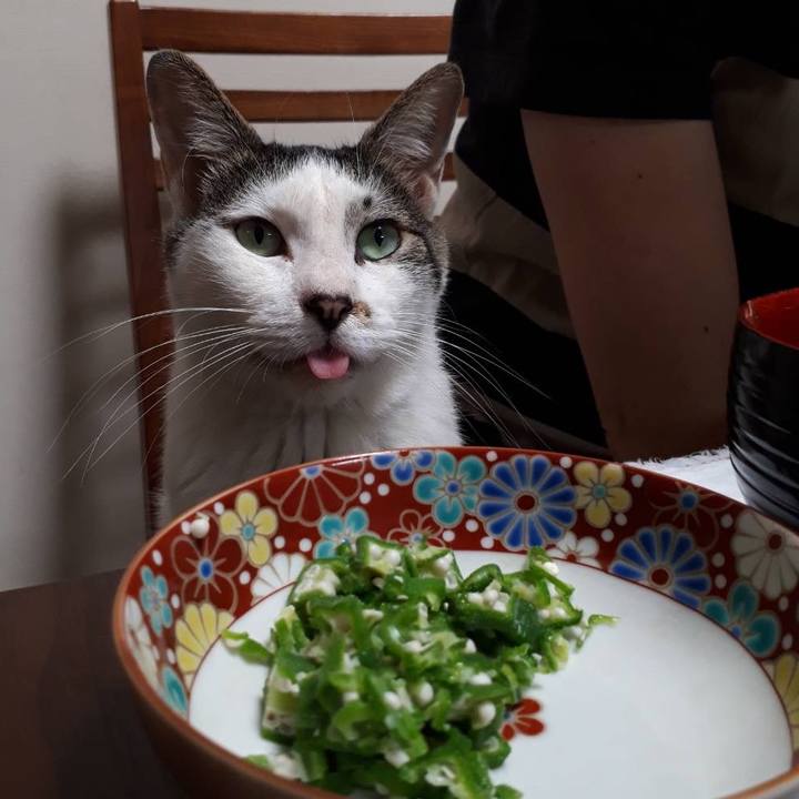 Ce0886a8 abf9 4e6d 8467 e060b4e1c082 1658071168995