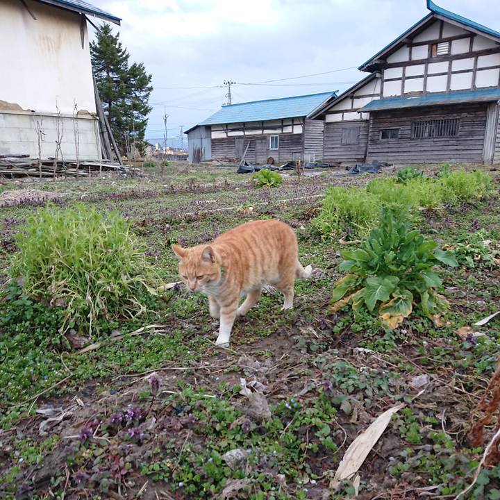 Ce088c93 292b 4dce 95ee 52b115a03319 1584779577458