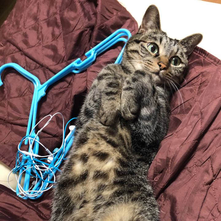 Ce08951d ed49 4aaf bfb8 e4704859aa85 1563096760713