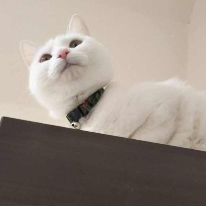 Ce08b136 596e 4ab7 aafc 5e355d0bffff 1646527958215