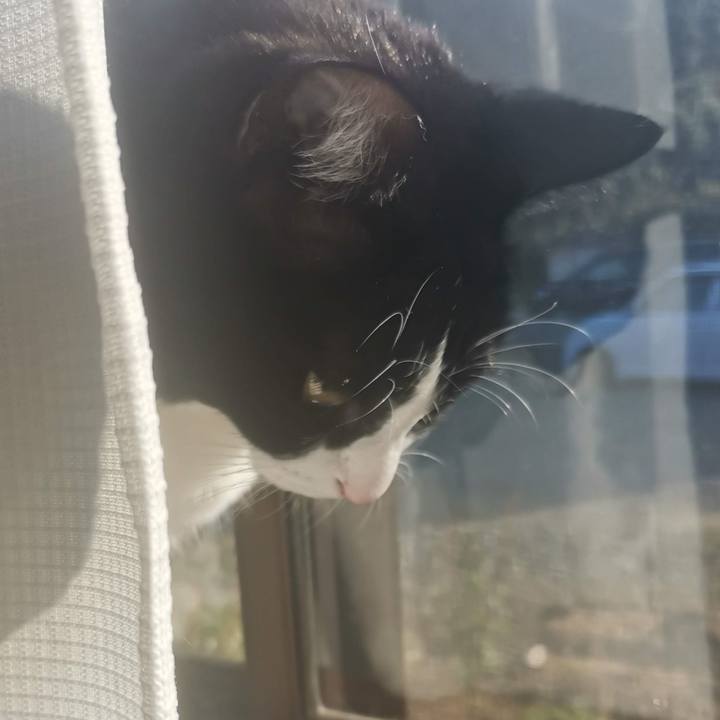 Ce08bd15 1aa4 481f 8e0d c51040588ec4 1701920882248