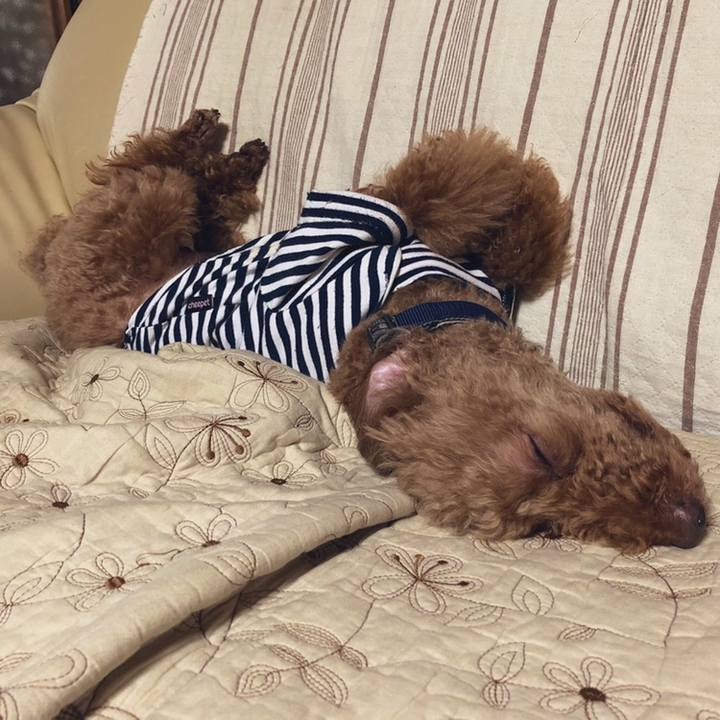 Ce08c64e dcd2 45ea 8997 046eb203abf8 1558425762279