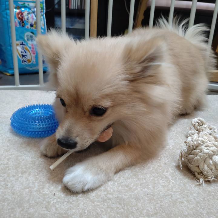 Ce093bc2 0a95 42df a26f 3202544df7ab 1733032212442