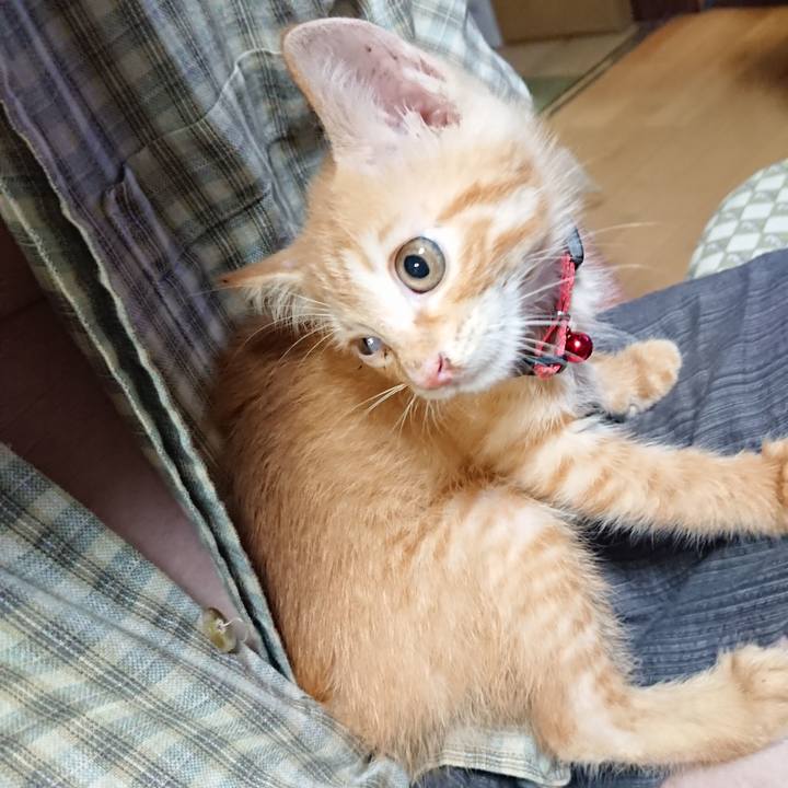 Ce09707a fda8 4597 9bd3 33b6f61834b2 1628078651766