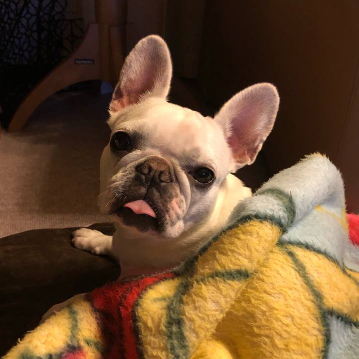 Ce09868a cc7f 47ba ae07 43f7348fb8e2 1550674630584