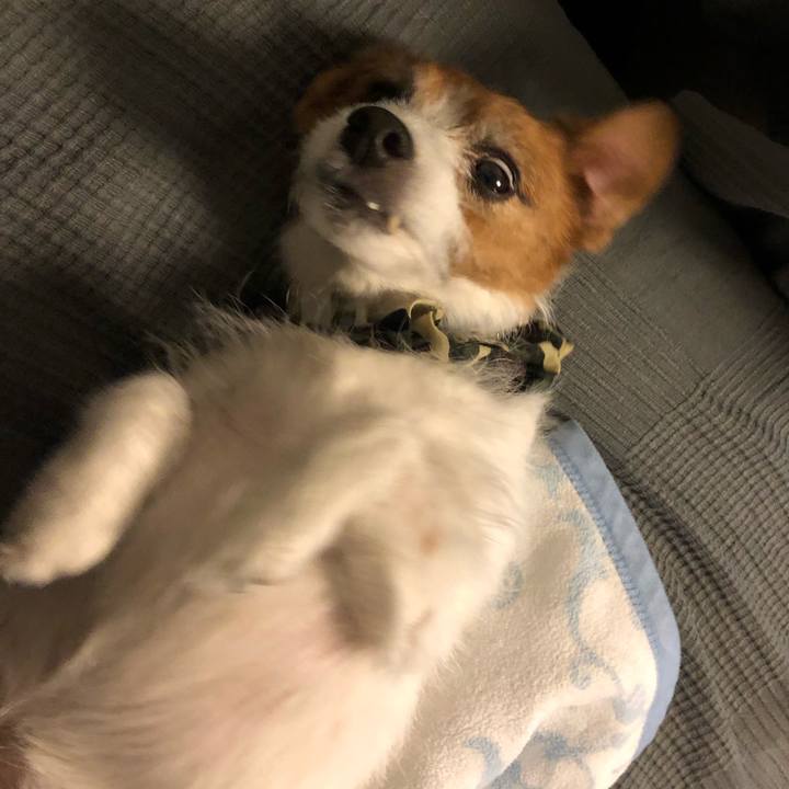 Ce098a82 4ecb 45b2 bd51 48082f7b1963 1587908692056