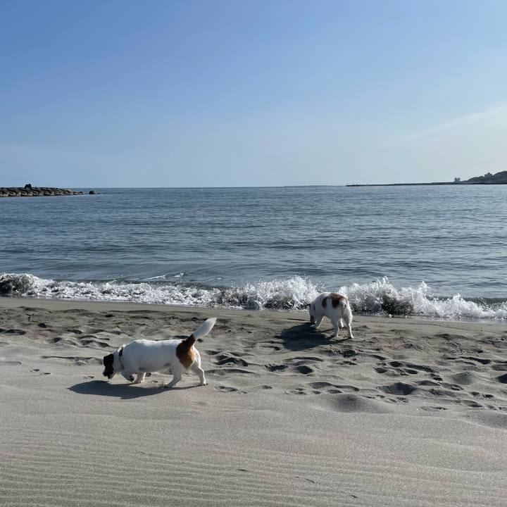 Ce09a028 3173 4024 87ac 90825c9241ed 1747611478066