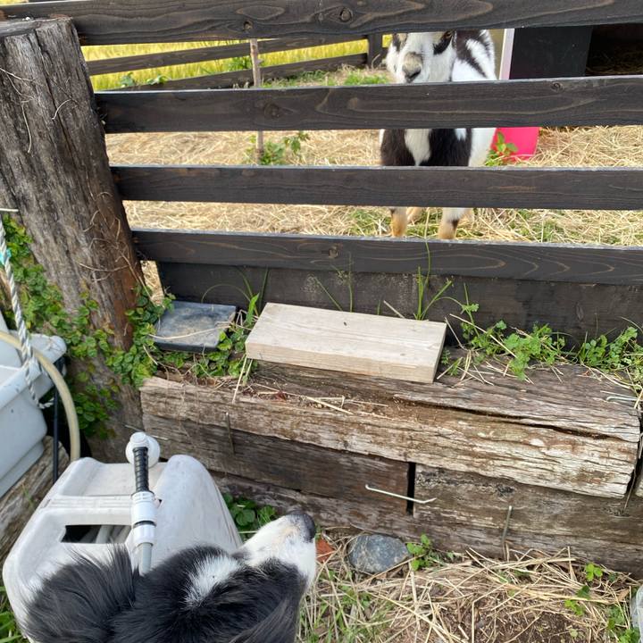 Ce0a586f c27f 4d99 8afa 9d95d82b34d9 1683536572482