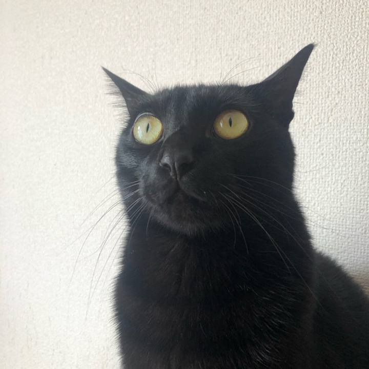 Ce0a799a 4e00 4d12 abbb 8360d6e21e97 1554132508137