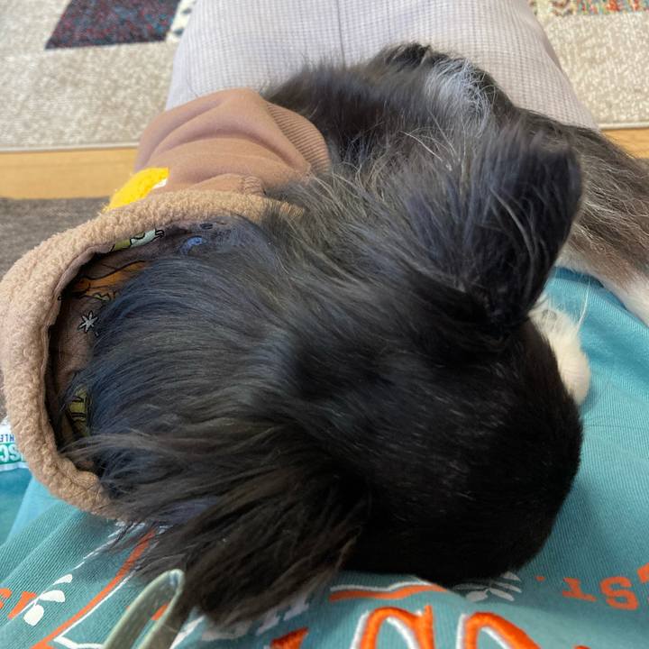 Ce0a7d1f 18d6 4b0a abb3 21b4b6a0c1e8 1704641079387