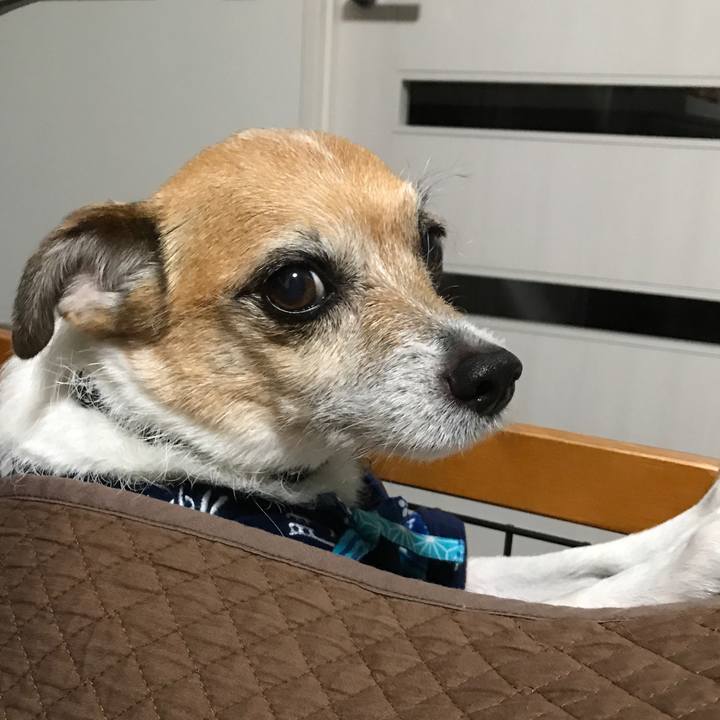 Ce0a9f99 d369 4b2f bb8c 9236bf32401d 1579212021095