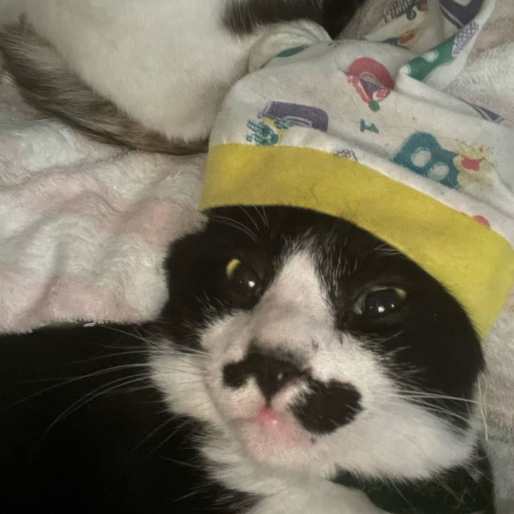 Ce0ac5a4 92da 434e b516 e293d58008d2 1703472344212