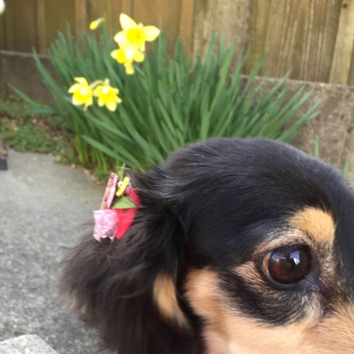 Ce0b1a4b d5ec 424d bcec 63ee3de3707c 1521202621338