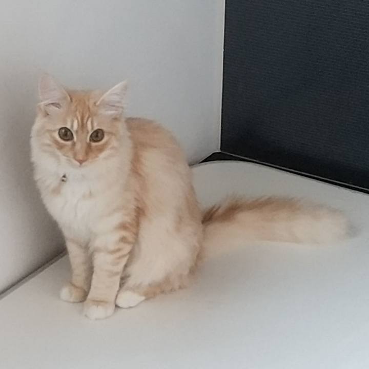 Ce0b1e2e 1888 41cc 9dd2 7c9a4a1071a0 1618782969556