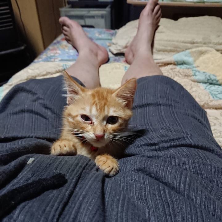 Ce0b37d3 845f 4a28 8af8 a10e5065d322 1629462075870