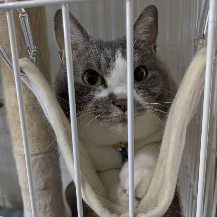 Ce0b3a1b b527 4a95 9123 a9f0cd633248 1749518121163