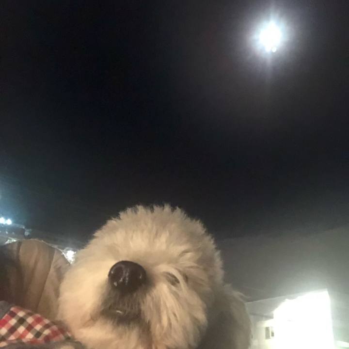 Ce0bb7c2 d72f 4ed3 9ad3 563888678fe0 1568386907634