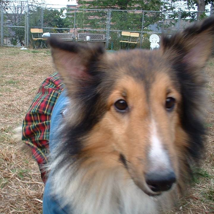 Ce0be4db cb4a 4710 97c9 553f43b8ac45 1509372421256