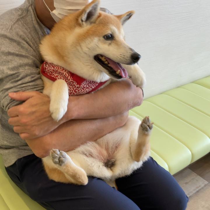 Ce0c195d 4bf0 44f7 89d4 128638e66298 1652186050732